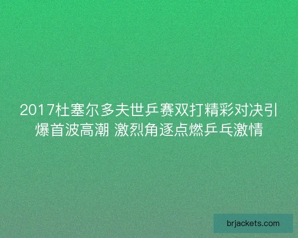 2017杜塞尔多夫世乒赛双打精彩对决引爆首波高潮 激烈角逐点燃乒乓激情