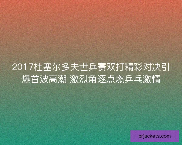 2017杜塞尔多夫世乒赛双打精彩对决引爆首波高潮 激烈角逐点燃乒乓激情
